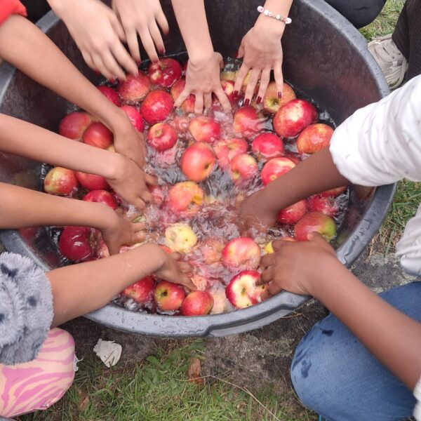 Vom Apfel zum Saft
