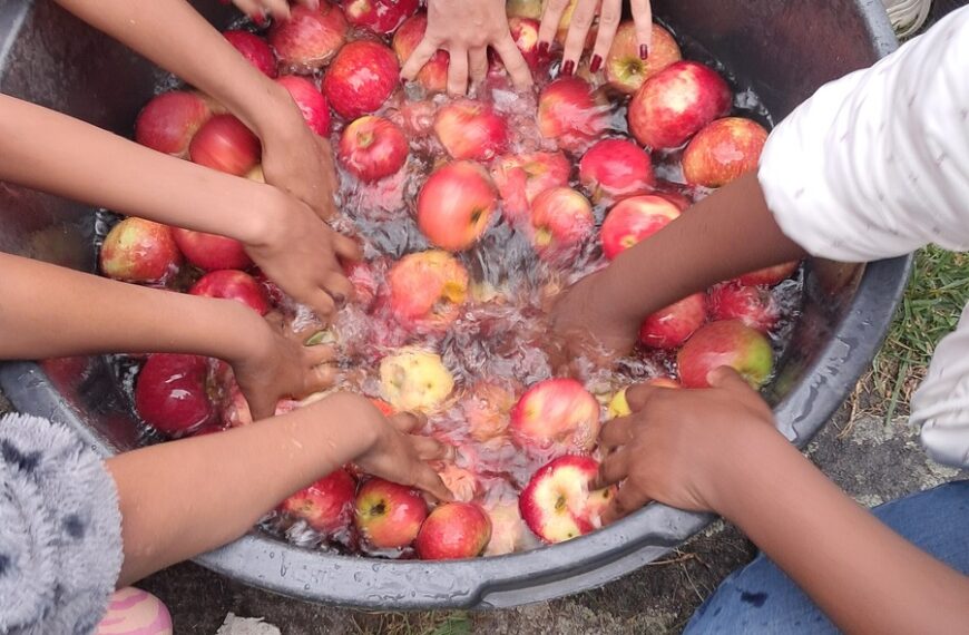Vom Apfel zum Saft